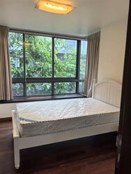 Braddell Road (D13), Terrace #504040691